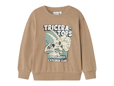 Name It weathered teak dinosaur sweatshirt